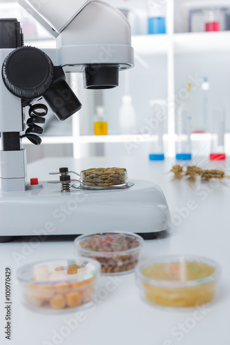 Fototapeta Naklejka Na Ścianę i Meble -  Chemical Laboratory of the Food supply . Food in laboratory, dna modify