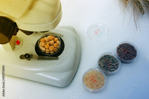 Fototapeta Naklejka Na Ścianę i Meble -  Chemical Laboratory of the Food supply . Food in laboratory, dna modify