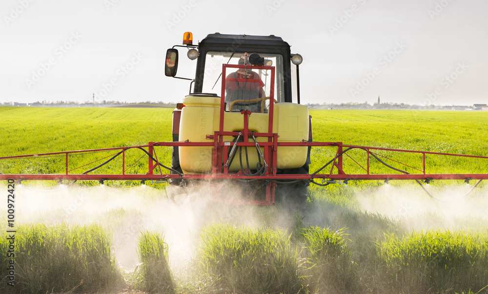 Obraz premium Tractor spraying wheat field