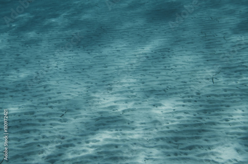 Ocean Floor underwater
