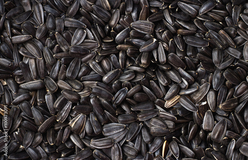 a lot of sunflower seeds. background