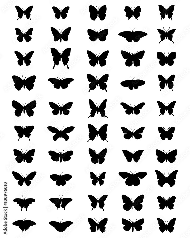 Black silhouettes of butterflies, vector Black silhouettes of butterflies, vector