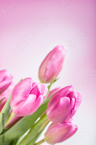Happy easter. Multicolored spring tulips and Easter eggs. Spring and Easter decorations. © weyo