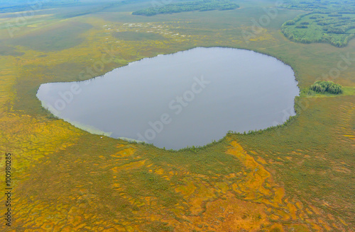 The lakes and swamps of Western Siberia