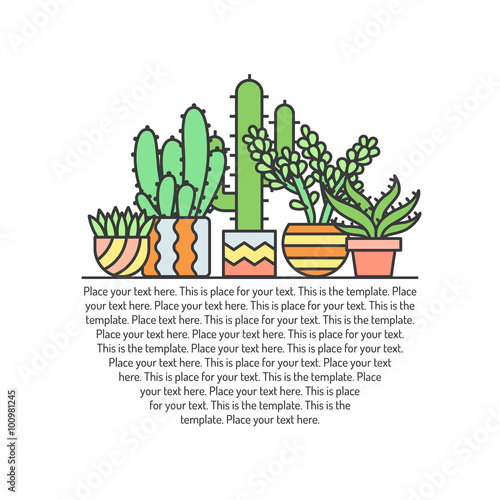 Succulents and cacti outline multicolored vector background. Modern minimalistic design. Part three.