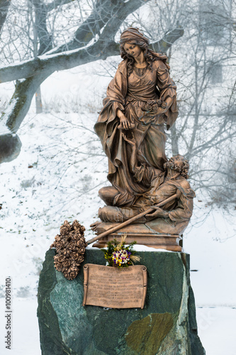 Canvas Print Bratislava, Slovakia - January 24th, 2016: Statue of St. Elizabe