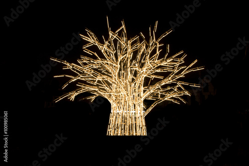 Obraz na płótnie Tree of light with braches on a black background w salonie