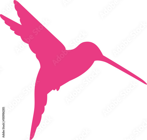 Pink hummingbird