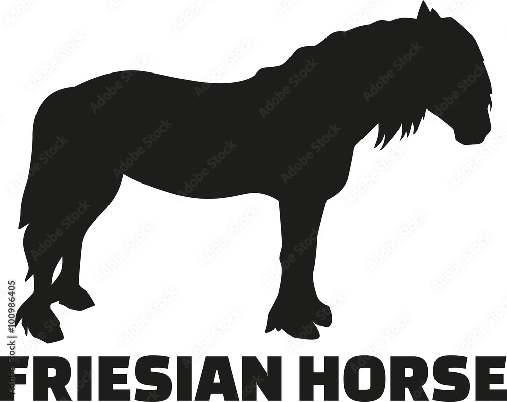 Friesian horse with name - obrazy, fototapety, plakaty 