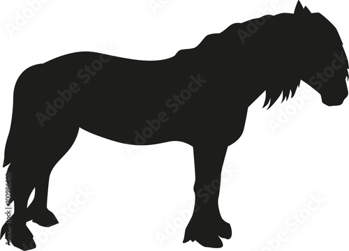Friesian horse silhouette