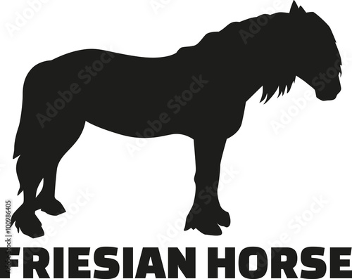 Friesian horse with name