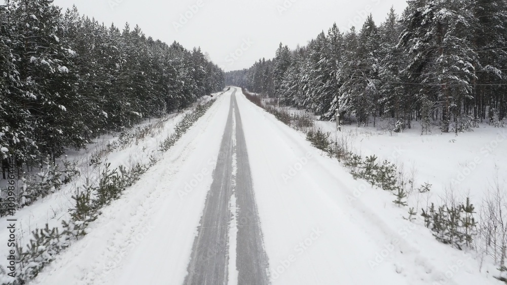 Road in Winter Forrest Road in Winter Forrest