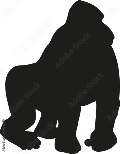 Gorilla silhouette