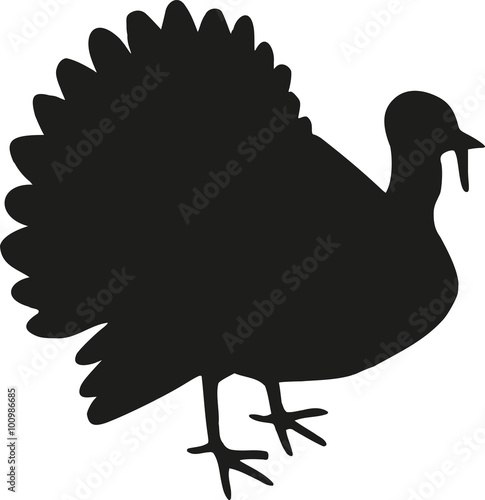 Turkey silhouette