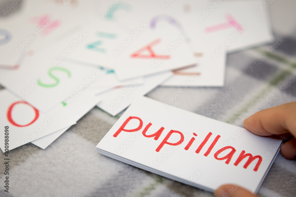Latin; Learning the New Word with the Alphabet Cards; Writing AP Latin; Learning the New Word with the Alphabet Cards; Writing AP