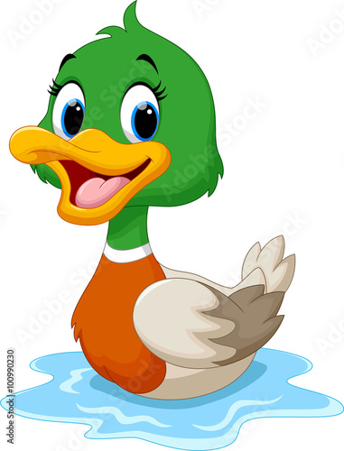 Cartoon duck swimming
