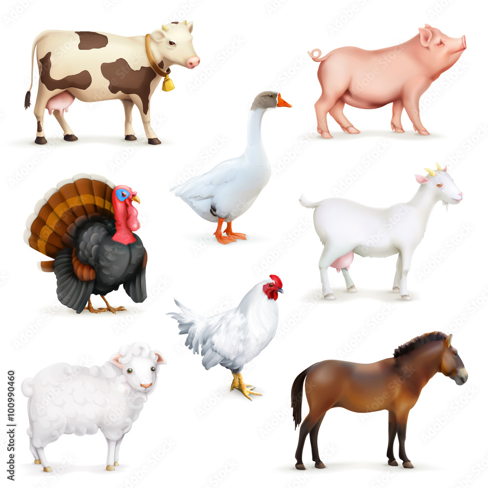 Animals and birds, farm set of vector icons