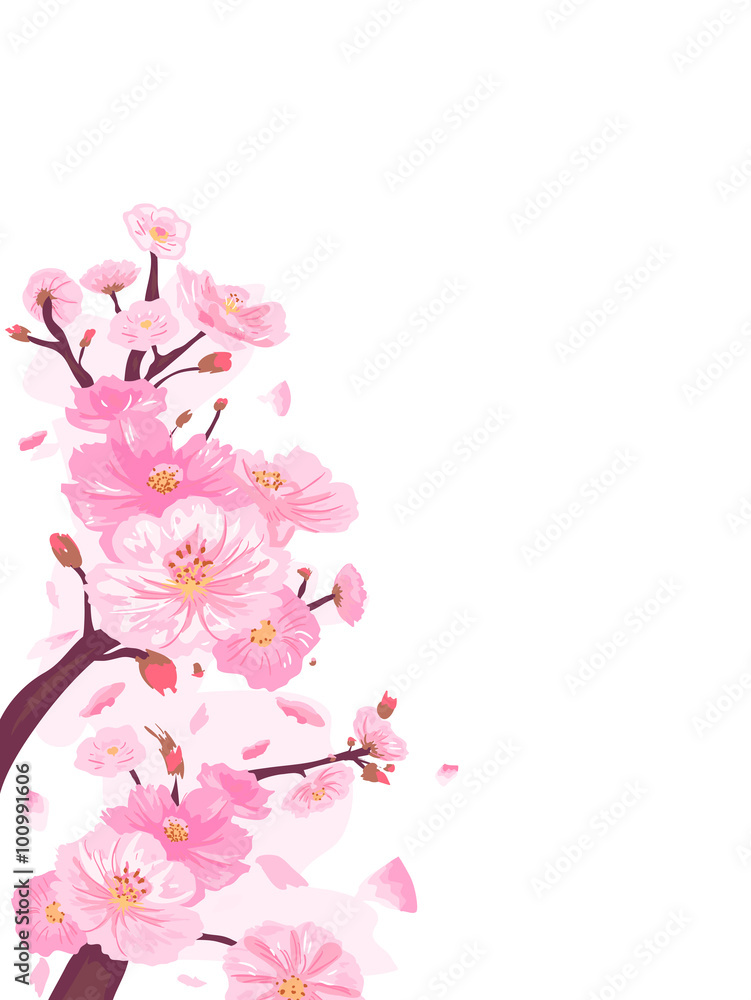 Cherry Blossoms Border