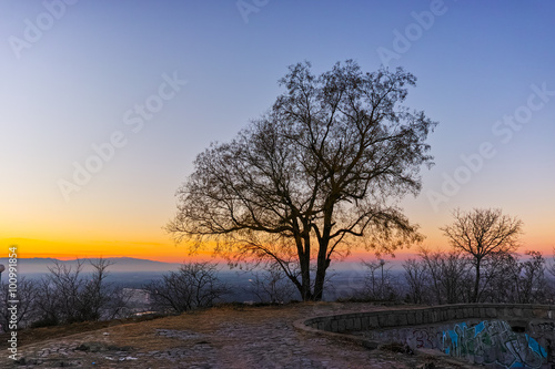 Amazing Sunset over lonely tree, Dzhendem tepe hill, city of Plovdiv, Bulgaria 