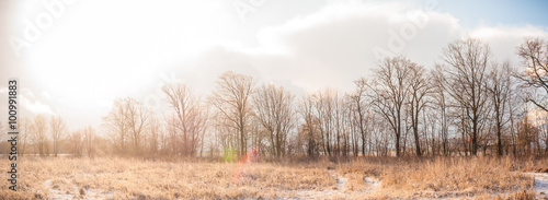 Wallpaper Mural blue sky Torontodigital.ca