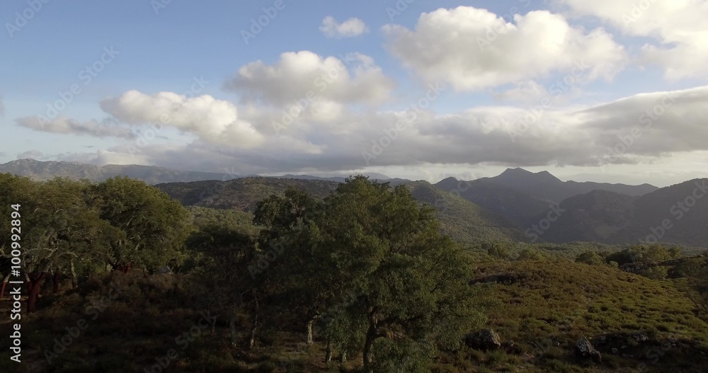 4K Aerial, Flight over trees, forests and hills, Andalusia, Spain.Straight out of the camera, no recompression. 4K Aerial, Flight over trees, forests and hills, Andalusia, Spain.Straight out of the camera, no recompression.