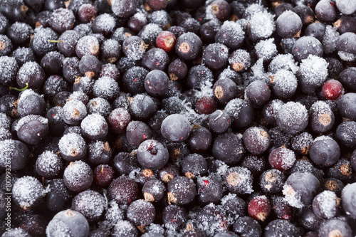 Black currant with ice