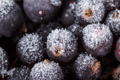 Black currant with ice