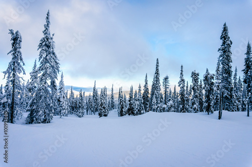 Winter landscape on the mountains with snow covered trees and ski runs on a nice winter day under beautiful skies at the village of Sun Peaks in the Shuswap Highlands of central British Columbia