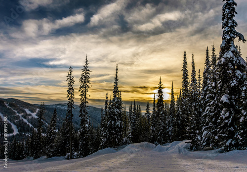 Sunset over the ski hills at Sun Peaks village with trees covered in snow in the high alpine mountains near the village of Sun Peaks in the Shuswap Highlands of central British Columbia, Canada