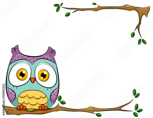 Owl Perched on a Branch