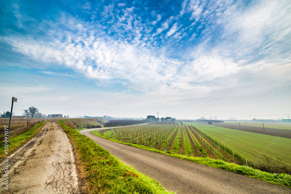 Naklejka premium A dirt road in the countryside