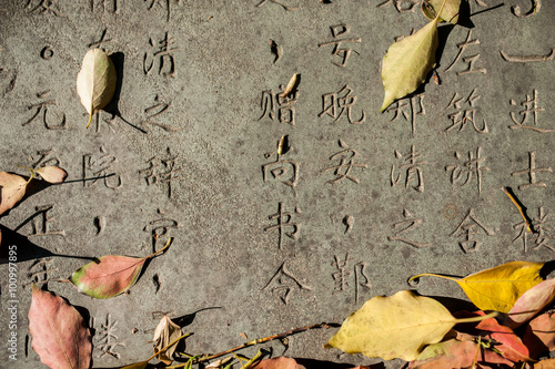 Chinese Characters carved in a stone