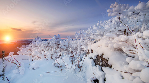 Wallpaper Mural Sunrise on Deogyusan mountains covered with snow in winter,South Torontodigital.ca