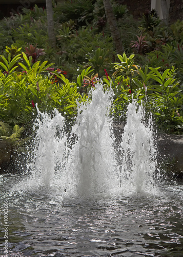 Fountain in tropical garden