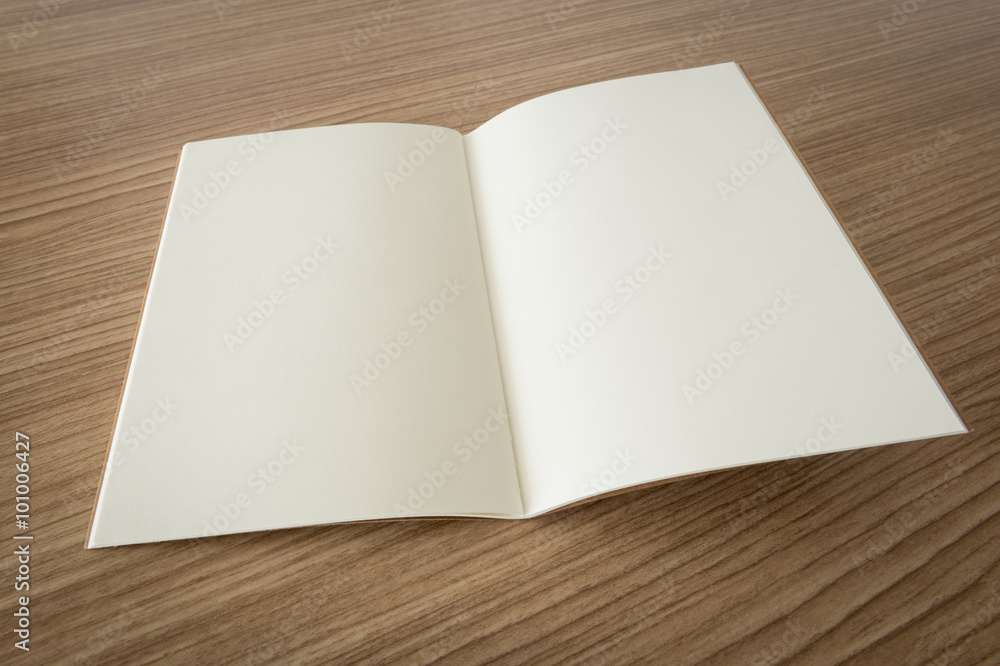 blank open book blank open book