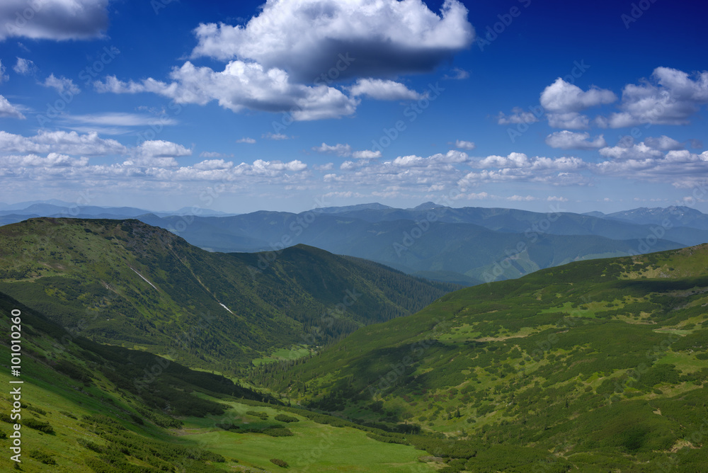 Carpathians summer