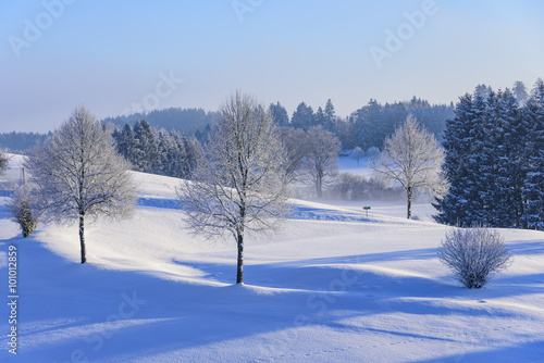 winterliche Landschaft  © ARochau