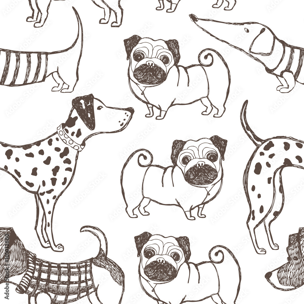 Obraz premium Dog background