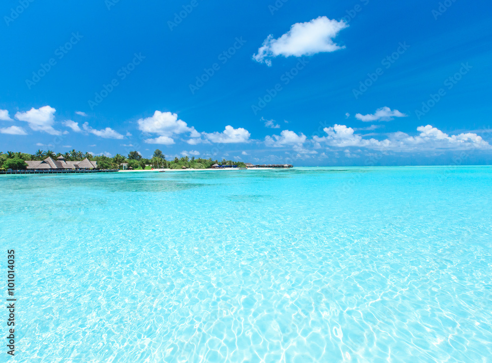 Fototapeta premium beautiful tropical sea