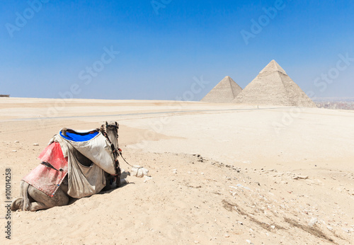 pyramids with a beautiful sky of Giza in Cairo, Egypt.