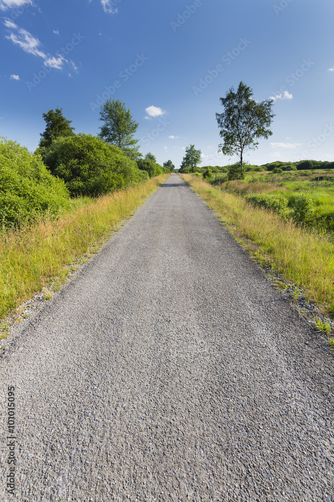 Road Through Wide Landscape In The High Fens, Belgium