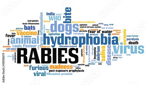 Принти на полотні Rabies word cloud