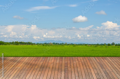 Wooden terrace with views of nature