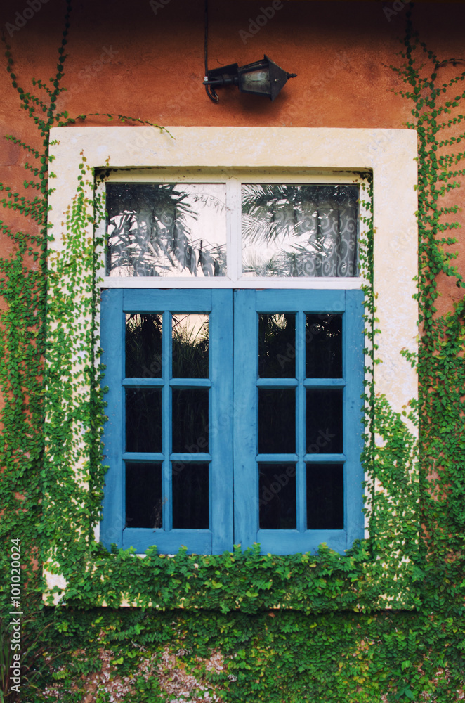 Vintage window with small leaves.