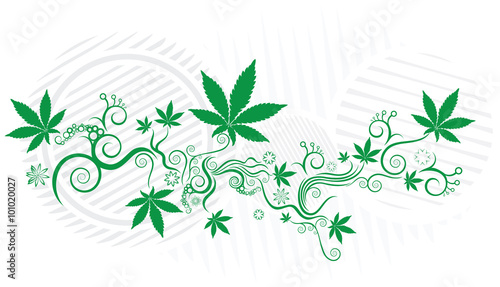 marijuana leaf texture background
