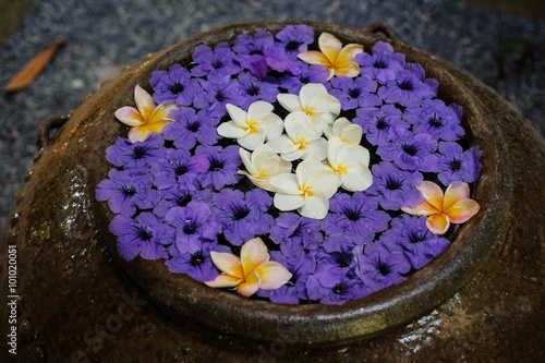 Bouquets of purple and white flowers in bowl