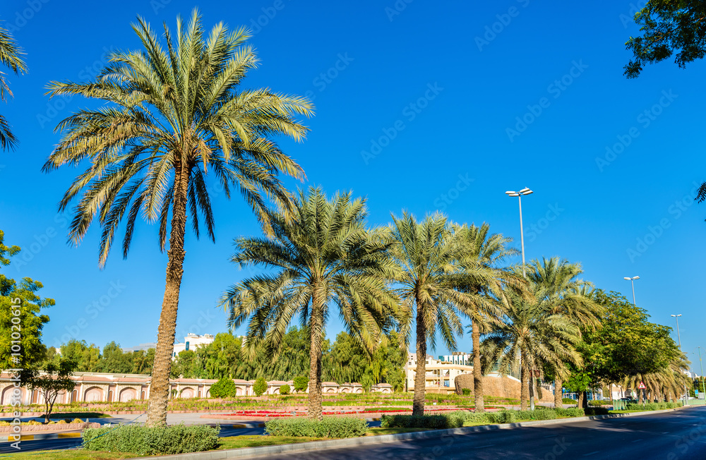 Street in Al Ain - Emirate of Abu Dhabi
