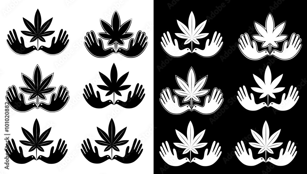 black and white cannabis marijuana textured leaf and peaceful dove symbol vector illustration