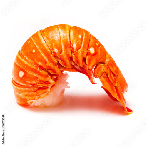 Εκτύπωση καμβά Cooked tropical Caribbean lobster (Panuliirus argus) or spiny lobster tail isola