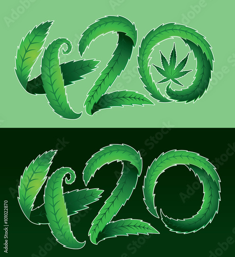 Green marijuana cannabis leaf 420 text vector illustration